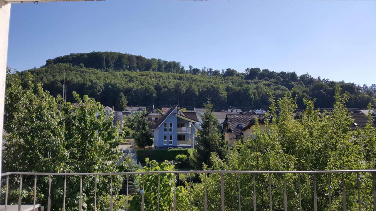 Ferienwohnungen Am Naturbad Lahr  Eksteriør billede